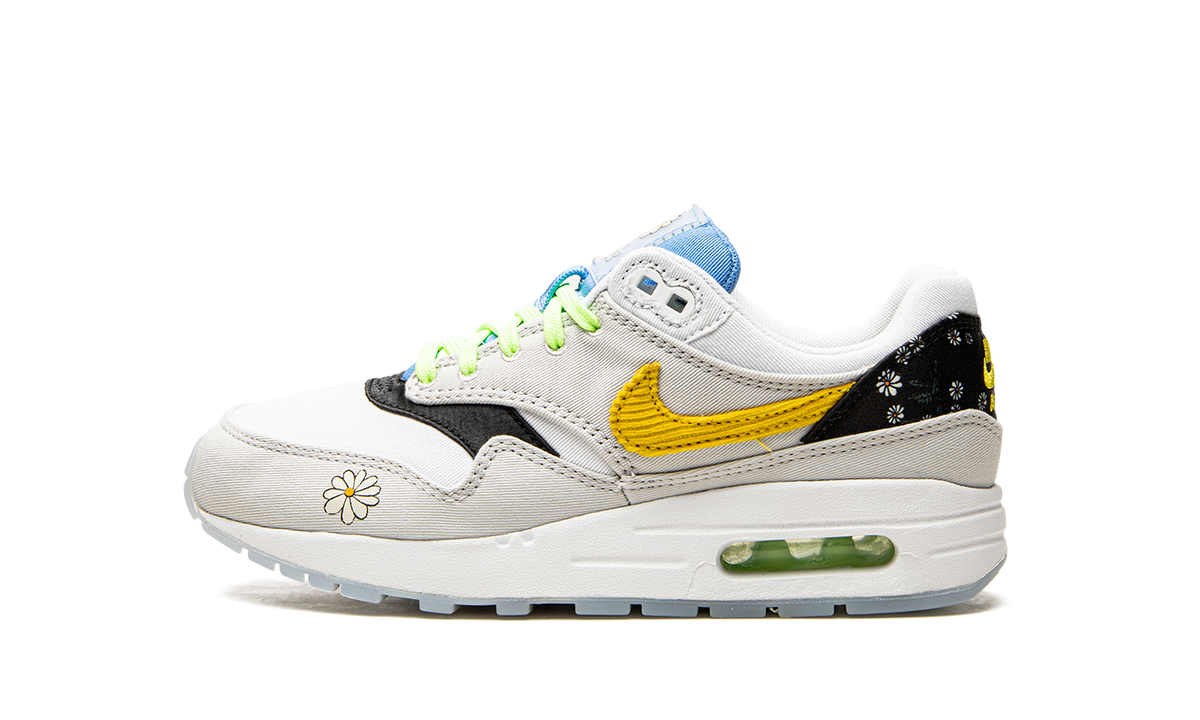 Air Max 1 GS "Daisy Pack" CW5861 100