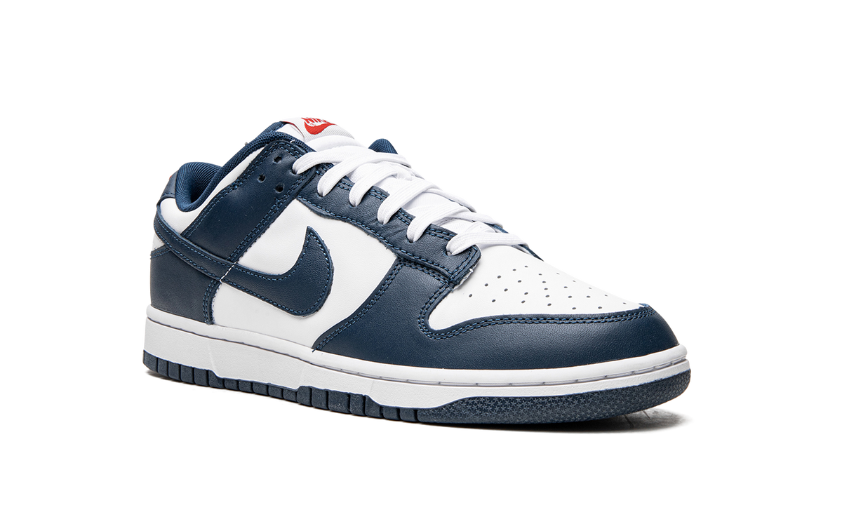Dunk Low Retro "USA" DD1391 400