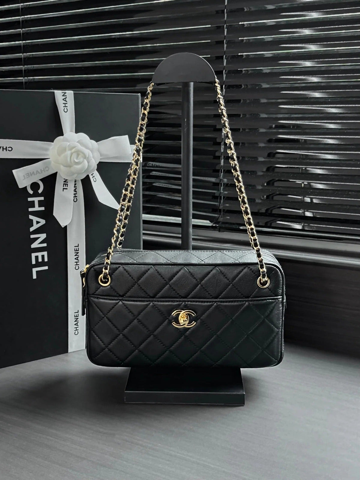 Chanel 2026 Camera Bag 24.5cm Suede Lambskin