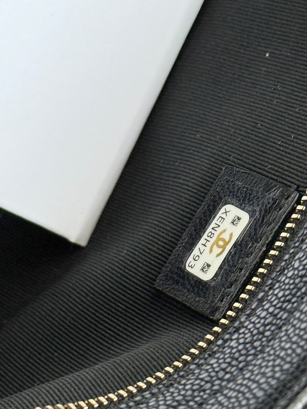 CC 25s Pouch 23cm AP4700 Black Caviar