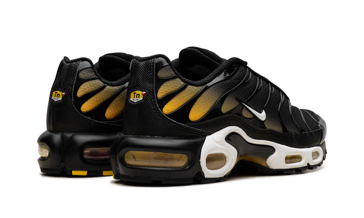Air Max Plus "Black University Gold White" DM0032 013